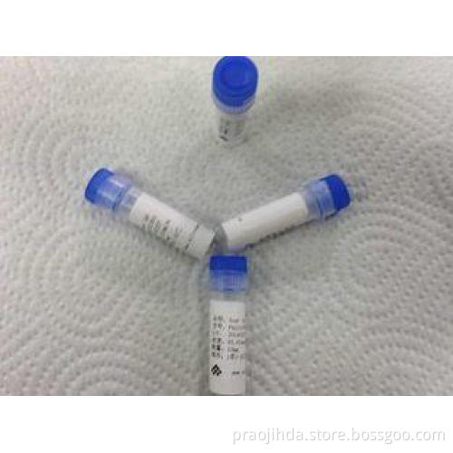 Medical IgG Goat Polyclonal Anti body Custom Polyclonal Ant
